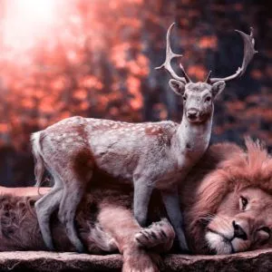 Living your Awakened Life Activation:  Shift Your Frequency to empowering courage